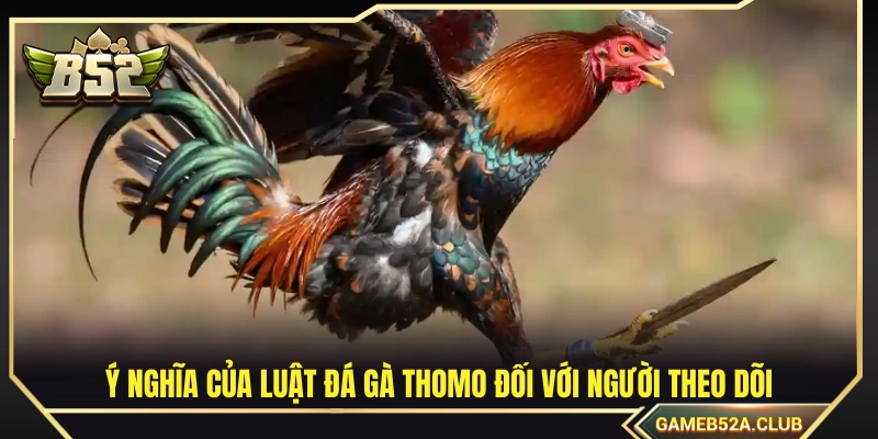 Vai trò của luật chơi trong việc đảm bảo tính minh bạch 